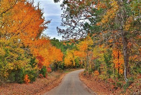 We Are Ready To Chase Fall Colors Across East Texas Help Us Stay Up To