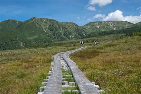 The Best Ever Guide To The Tateyama Kurobe Alpine Route The Bamboo