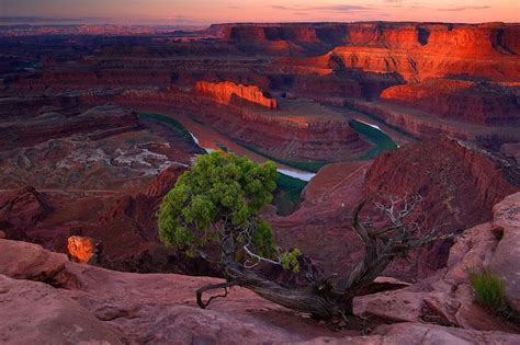 The Grand Canyon Is Amazing This Is Dead Horse Point At Sunrise