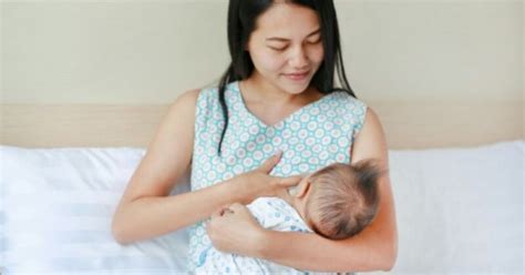 Cara Menyusui Bayi Baru Lahir Dengan Nyaman Kabeje