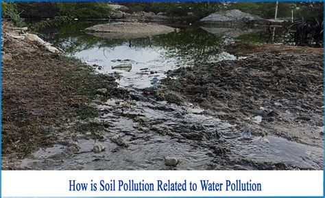 What Is Soil Pollution And How To Affect On Water Netsol Water