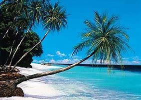 Image result for images tropical south haiti beaches