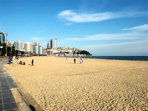 Haeundae Beach Busan Just Muddling Through Life