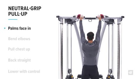 Neutral Grip Pull Up Exercise Videos And Guides