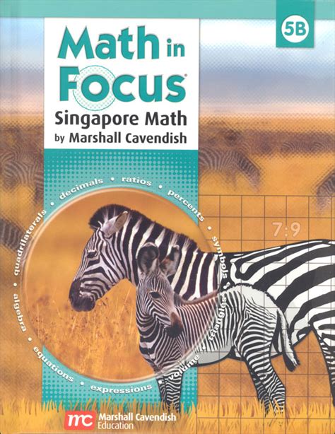 Bridges in mathematics grade 5 Math in Focus Grade 5 Student Book B | Marshall Cavendish ...