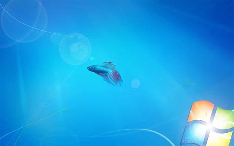 Free Live Wallpaper For Windows 7 Wallpapersafari