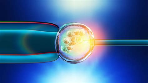 Fiv Tout Savoir Sur La F Condation In Vitro Magicmaman Com