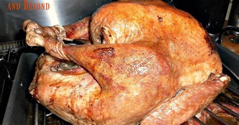 Roasted Turkey Dinner And Beyond