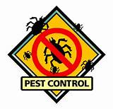 Zenith Pest Control Photos