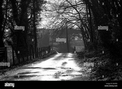 Black And White Country Lane With Trees And Surrounding Farmland Stock