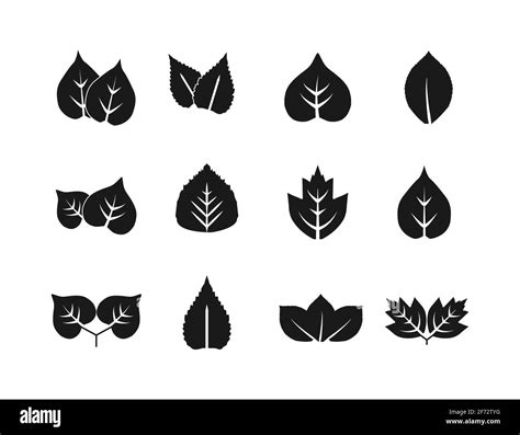 Eco Green Leaves Icon Set Vector Illustration Stock Vector Image