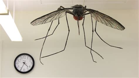 Londons Subterranean Mosquito Lab Vice