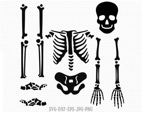 Cricut Skeleton Template Portal Tutorials