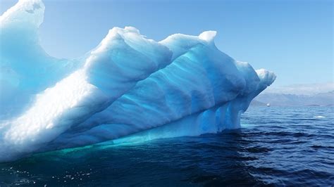 25 Interesting Facts About Icebergs Top Facts