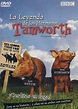 Amazon.com: LA LEYENDA DE LOS HERMANOS TAMWORTH (THE LEGEND OF THE ...