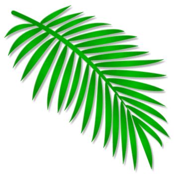 Free jungle leaf template, download free clip. palm tree leaves clip art 10 free Cliparts | Download ...