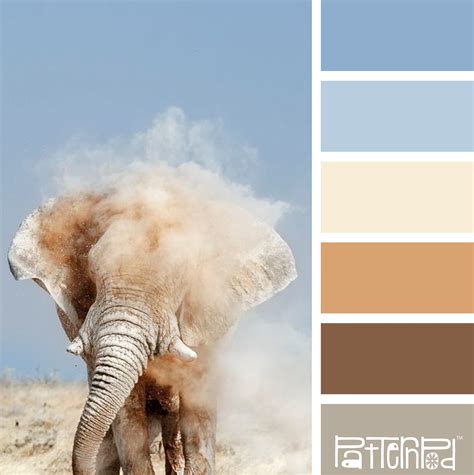 Safari Sand Brown And Blue Are A Classic Combo Color Pallets Colour
