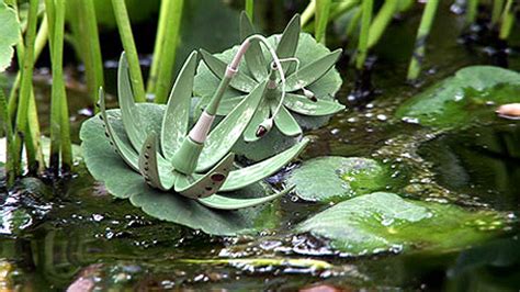 Natural innovations landscaping is a family owned business that specializes in landscape design, hardscaping and paver restoration. Nature Design - From Inspiration to Innovation - Core77