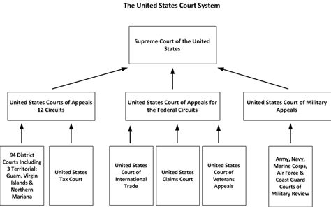 The United States Court System Diagram Quizlet