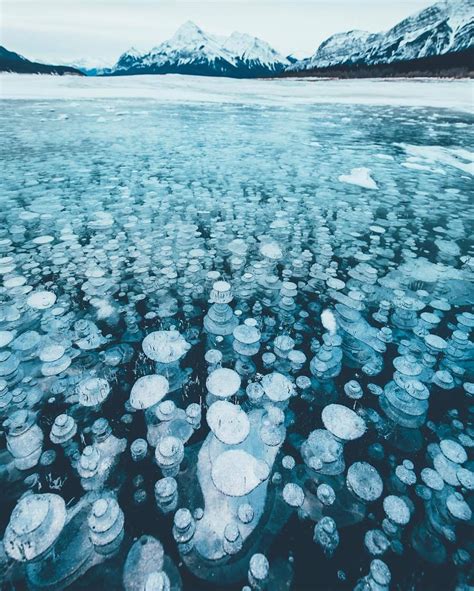 Earth — Frozen Bubbles In Abraham Lake In Alberta Canada