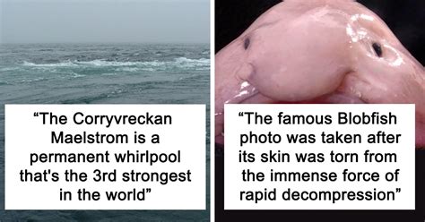 23 Fascinating Weird Or Even Scary Facts About The Ocean People In