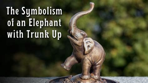 The Symbolism Of An Elephant With Trunk Up Give Me History