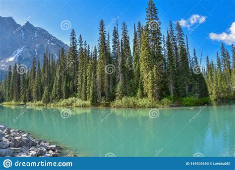 Emerald Lake Yoho National Park Stock Image Image Of Landscape