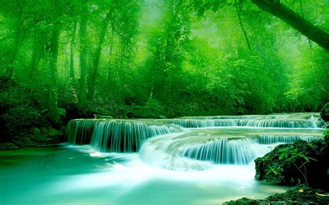 Hd Wallpaper Wallpaper River Water Rocks Trees Greenery Free