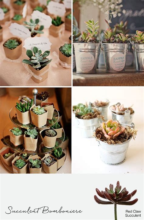 9 Ways To Decorate With Succulents For Weddings And Events Succulents
