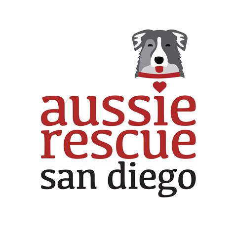 Aussie Rescue San Diego Bonita Ca