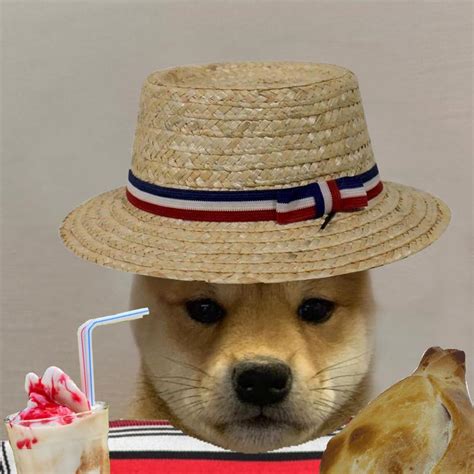 Dog Wif Hat Chile Dogwifhatgang