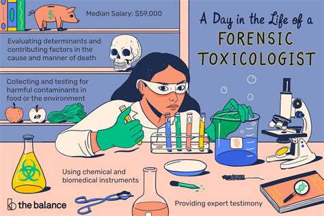 Forensic Toxicologist Job Description Salary Skills And More In 2021