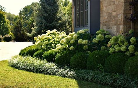 Image Result For Liriope And Hydrangea Front House Landscaping
