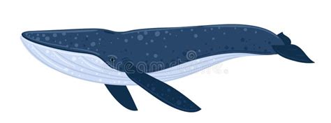 Cartoon Blue Whale Underwater World Marine Life Vector Illustration