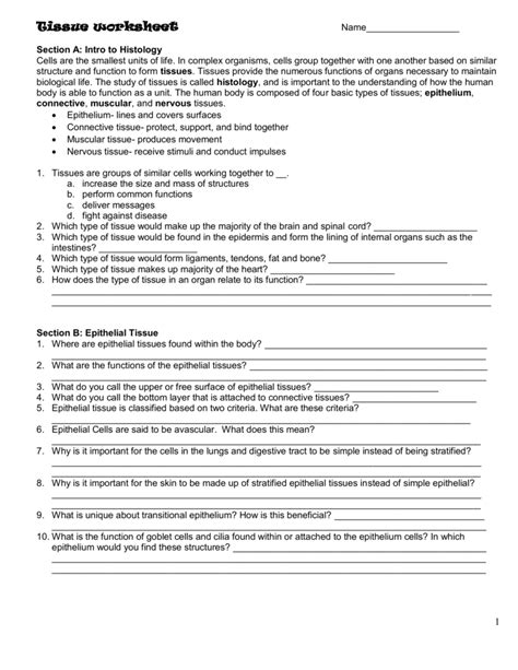 Exercise 2 2 if the singer is ill, they'll cancel the. Tissues Worksheet Answer Key in 2020 | Biology worksheet ...
