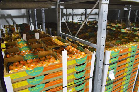 You can look at the address on the map. Bellflower Mcallen Tx | Best Flower Site