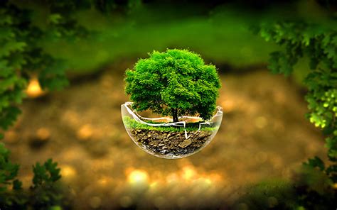3D Nature Images HD with Flying Tree on Broken Glass - HD Wallpapers ...
