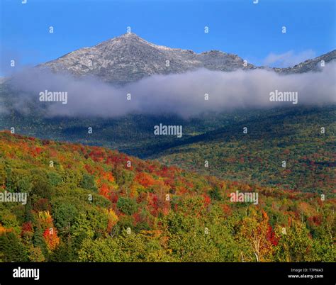 Usa New Hampshire White Mountain National Forest Fall Colored Slopes