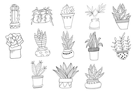 30 Hand Drawn Doodle Potted Plants Cliparts