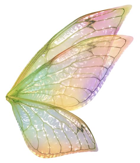 Digital Overlays Png Fairy Wings Set 6 Digital Wings Fantasy Etsy