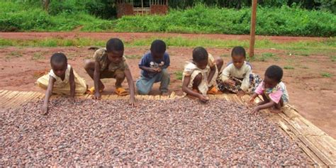 Nestlé Announces Innovative Plan To Tackle Child Labour Risks Increase