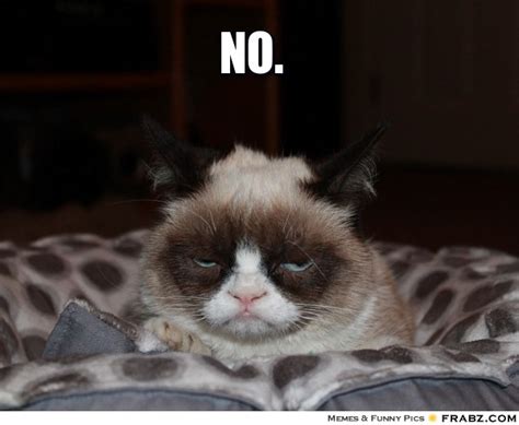 Grumpy Cat Memes Generator Image Memes At