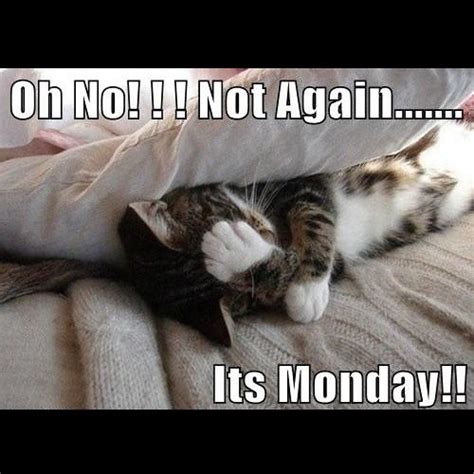 Oh No Not Againits Monday Pictures Photos And Images For