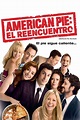 Ver American Pie 8: El reencuentro (2012) Online