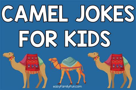 80 Hilarious Camel Jokes For Kids