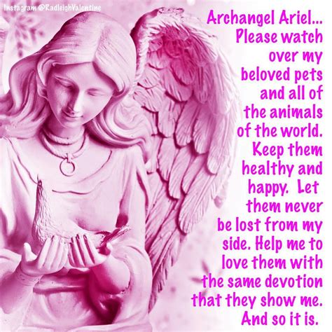 Archangel Ariel Prayer For Animals Hightopredvansonfeet
