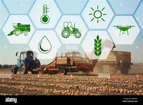 Icons And Process Of Harvesting With Modern Agricultural Equipment On