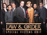 Law & Order: Special Victims Unit Season 24: Release Date, Plot and ...