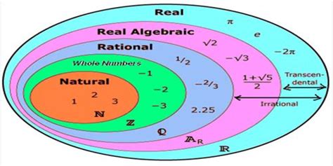 1 or 2 is easy enough to recognize in the real world; Real Numbers - Assignment Point
