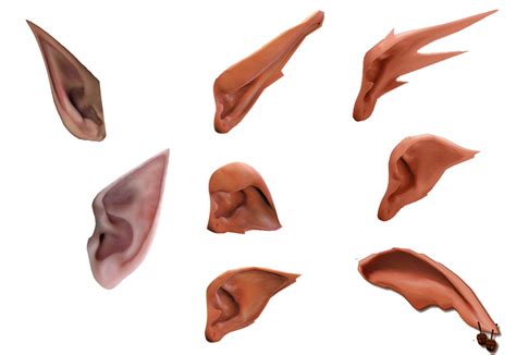 Ear Elf Software Wizard Ears Daquan Material Free To Pull Png